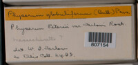 Image Associated With the Occurence